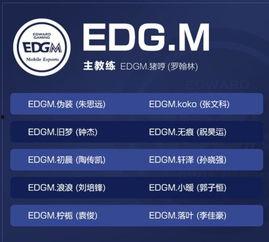 王者转会最新爆料消息,最新爆料揭秘转会大幕  第3张